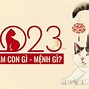 Trai Quý Mão 2023 Mệnh Gì